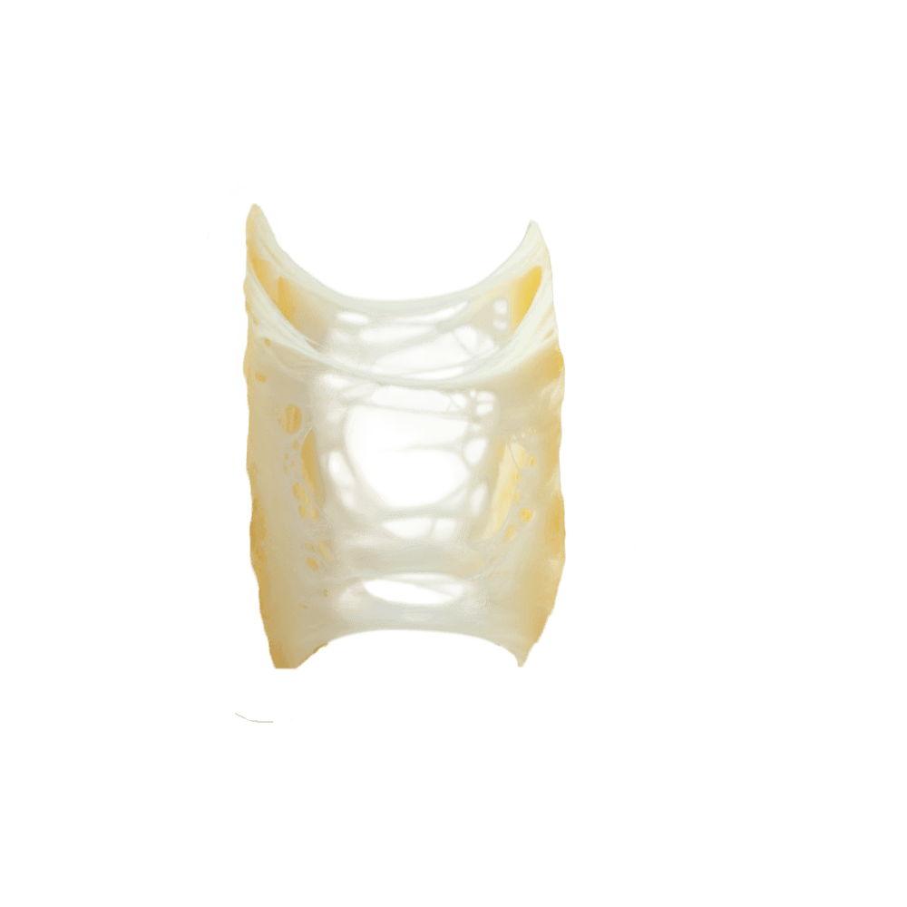 Queijo derretido